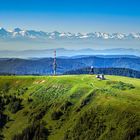 Sommerbild mit Alpenblick am Feldberg