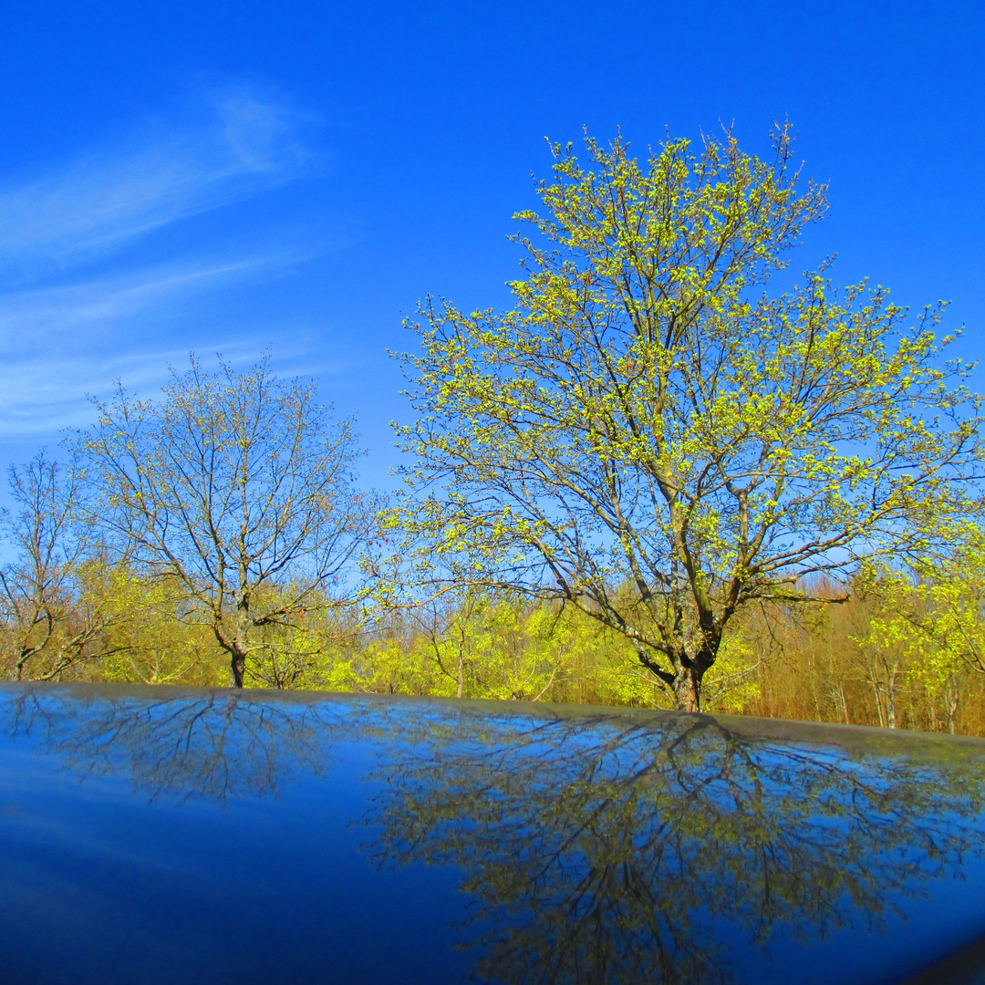 Sommerblau