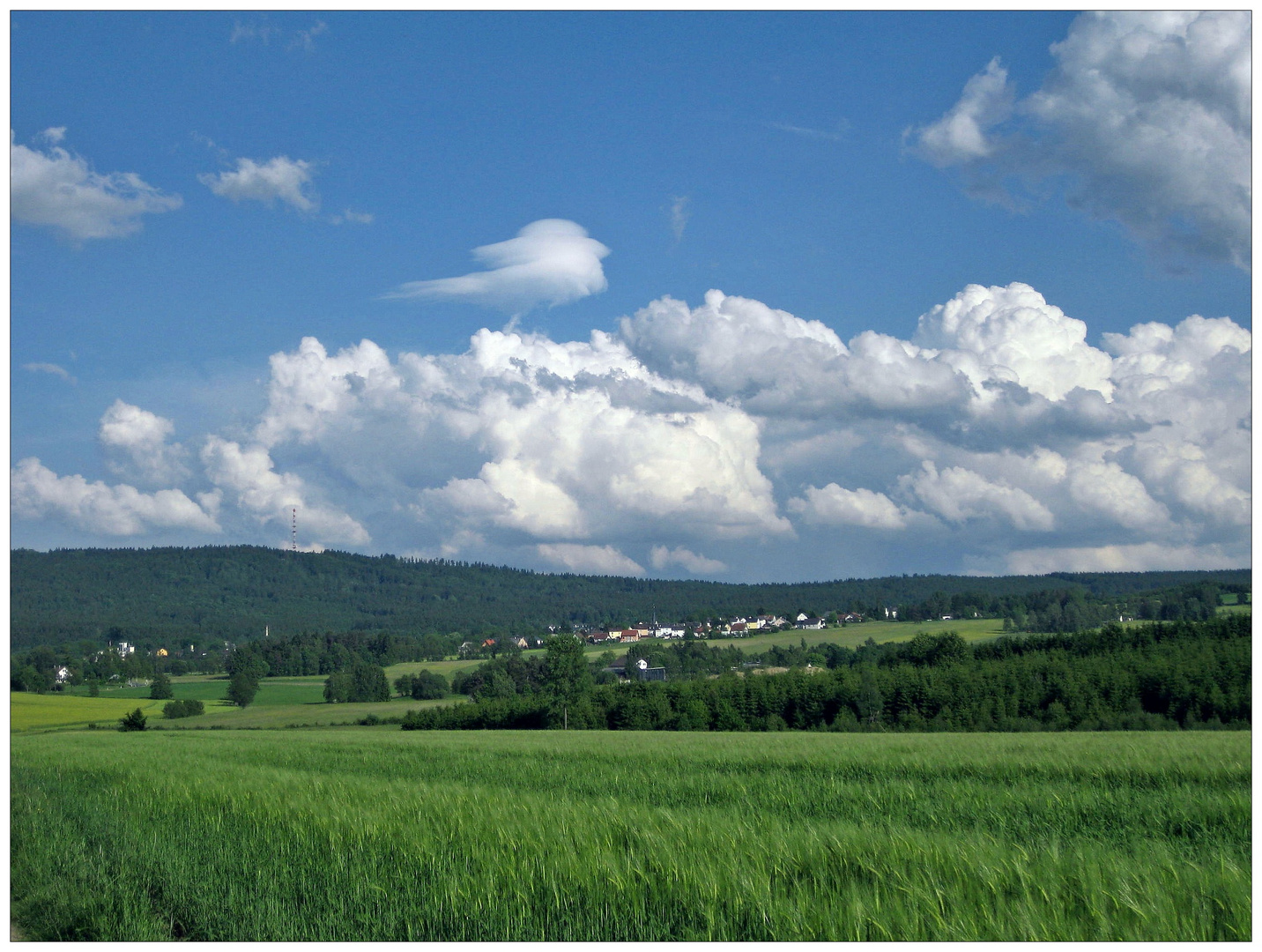 Sommerblick