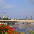 Sommerblick auf Dresden