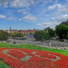 Sommerblick Erfurt