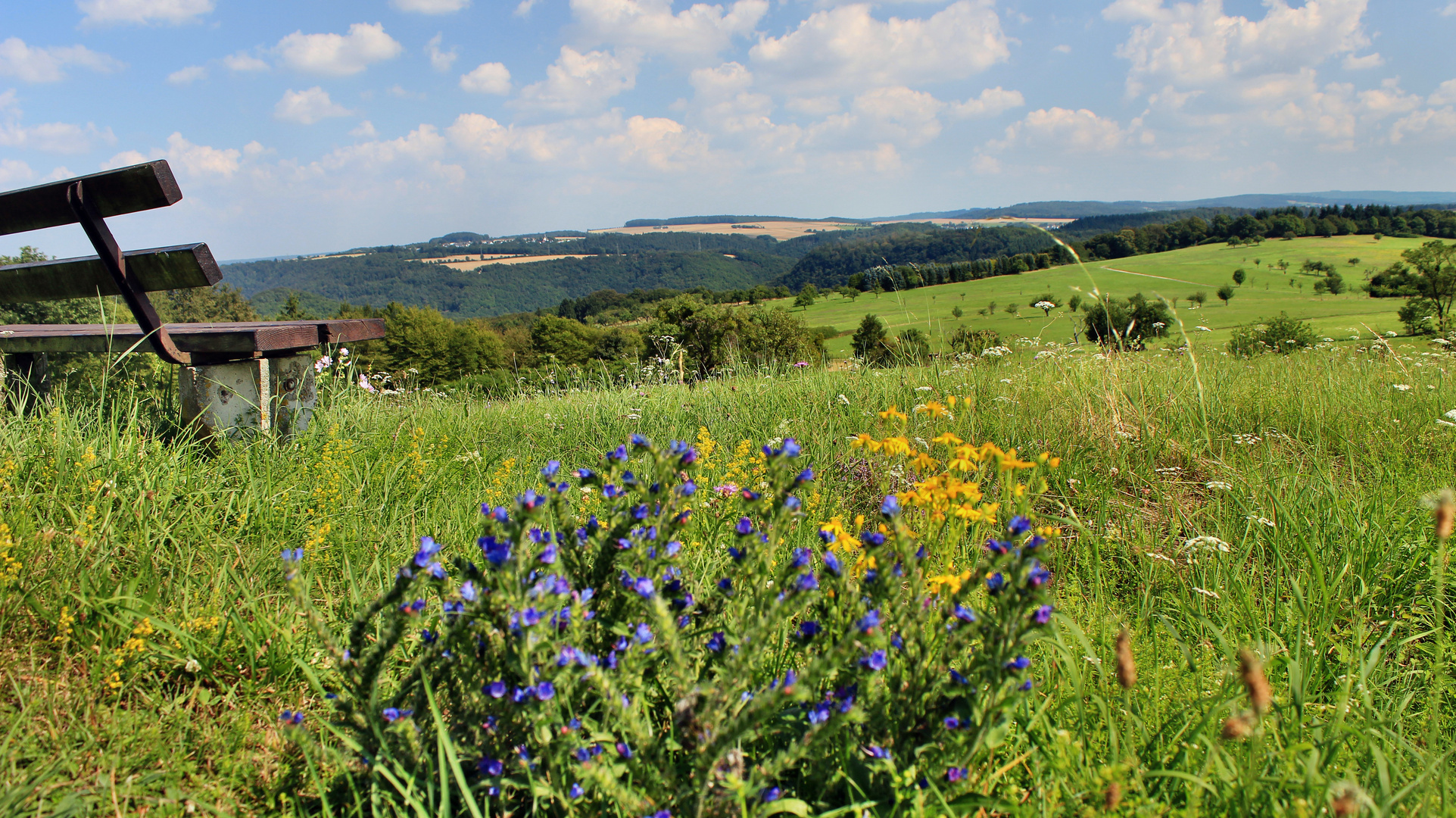 Sommerblick im Nassauer Land über die Lahnhöhen