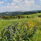 Sommerblick im Nassauer Land über die Lahnhöhen