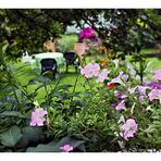 Sommerblick in den Garten