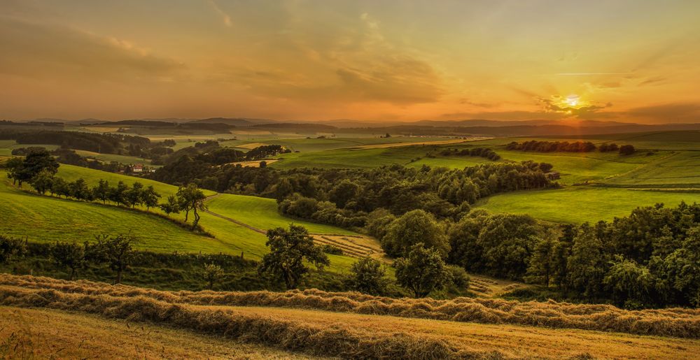 Sommerblick ins Sauerland