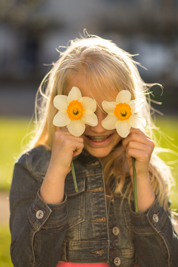 Sommerblümchen