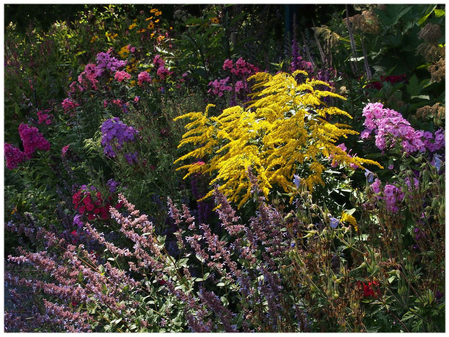 Sommerblüten