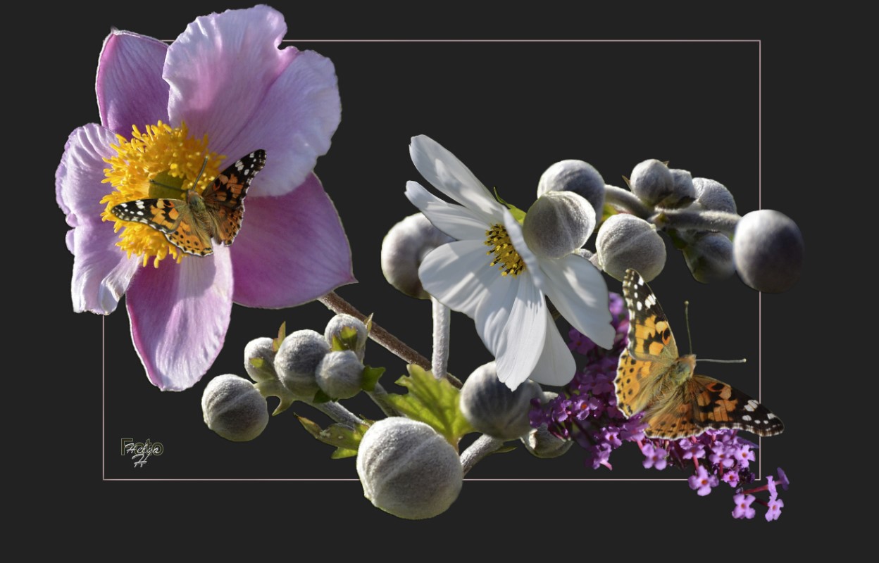 Sommerblüten - Collage