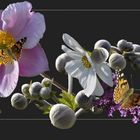 Sommerblüten - Collage