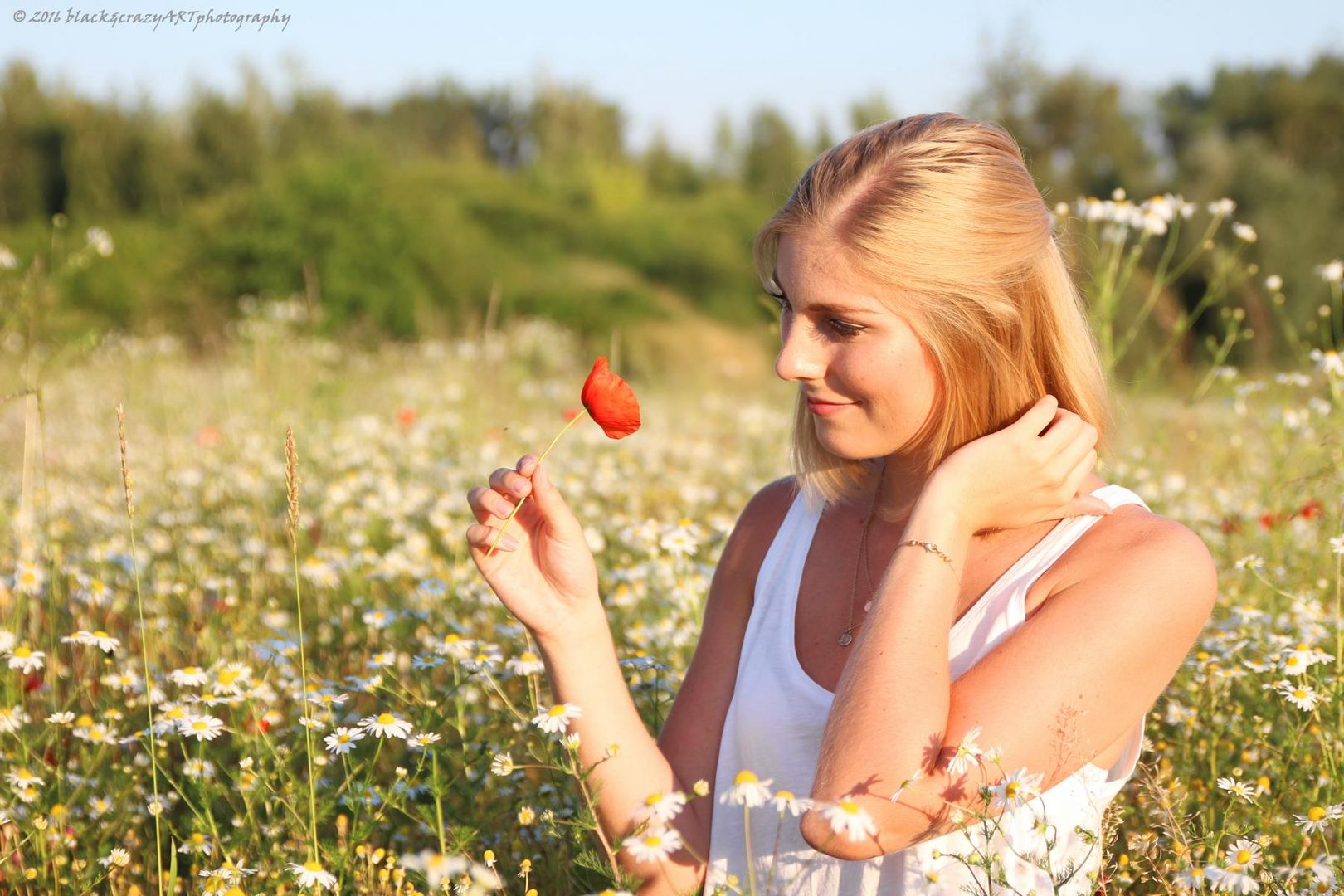 Sommerblume