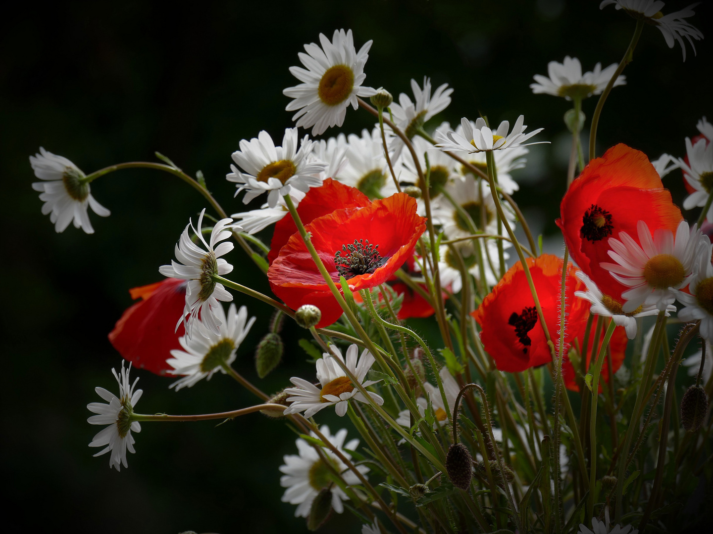 Sommerblumen...