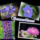 Sommerblumen