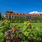 Sommerblumen vor der Oberen Orangerie im Barockgarten Großsedlitz