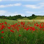 Sommerbote