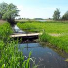 Sommerbrücke