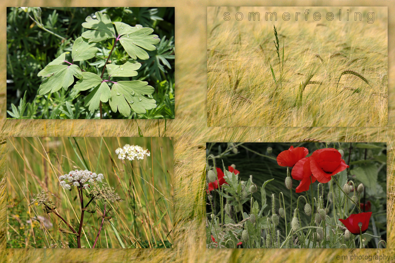 sommercollage