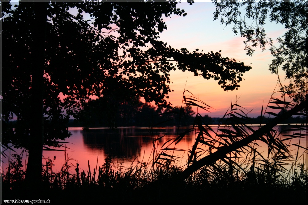 Sommerdämmerung an der Havel