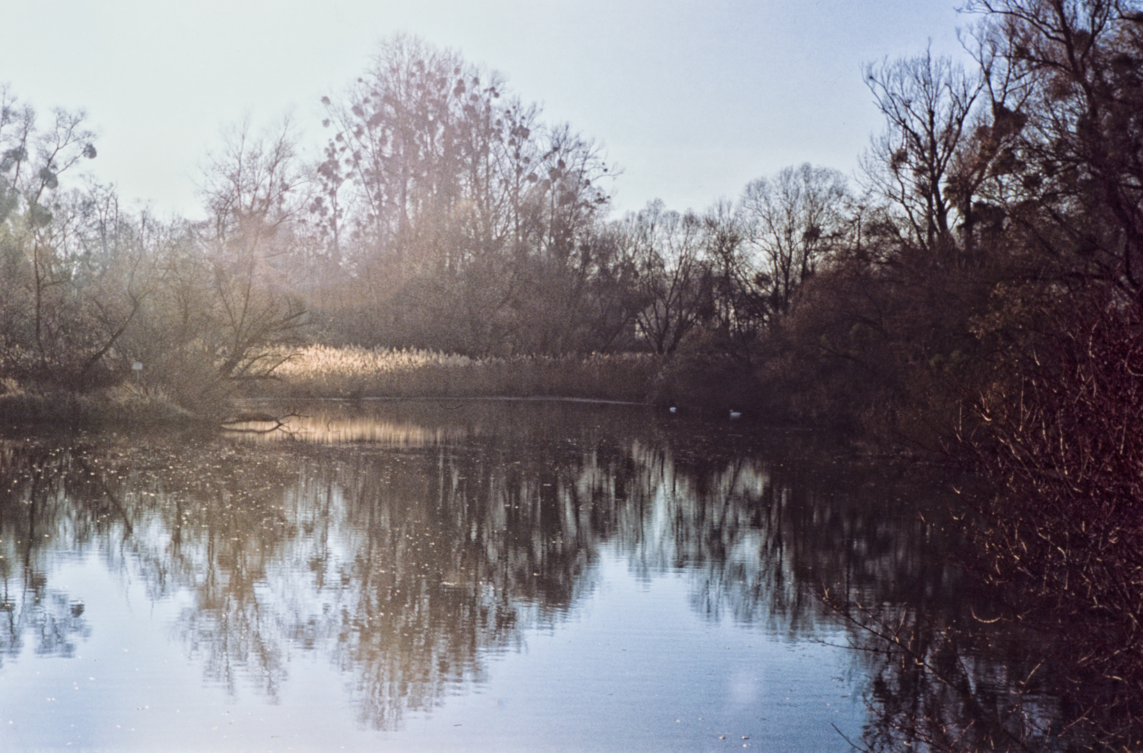 Sommerdamm II - der Blick ins Groschenwasser