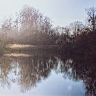 Sommerdamm II - der Blick ins Groschenwasser