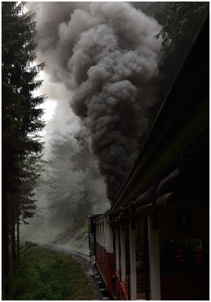 Sommerdampf in Rot Weiß Rot VII