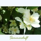 Sommerduft