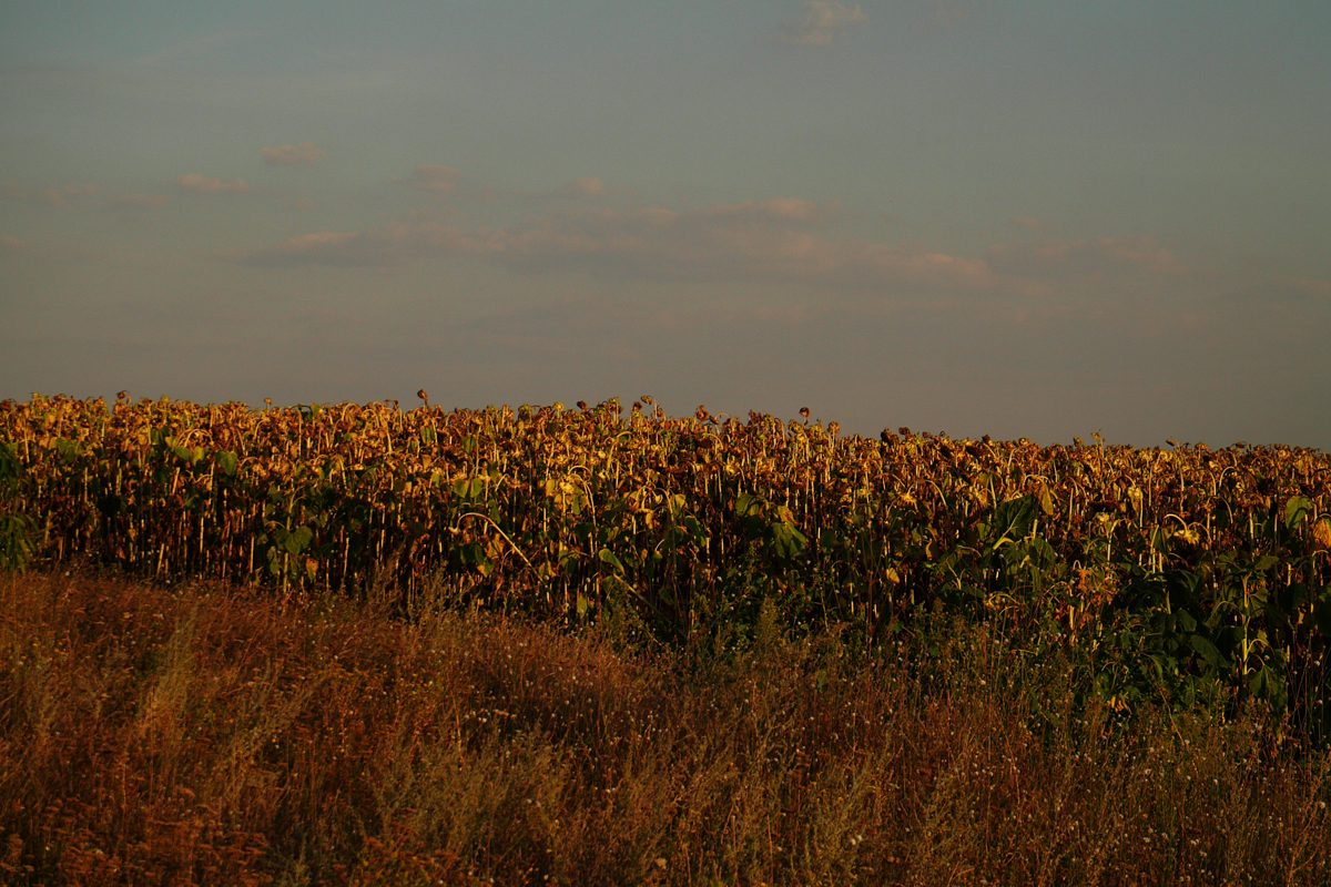 Sommerduft mit ner Note Herbst