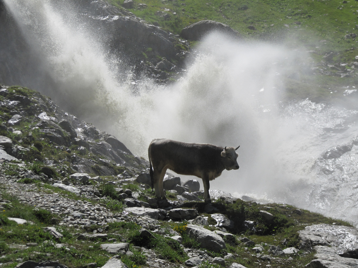 Sommerdusche......