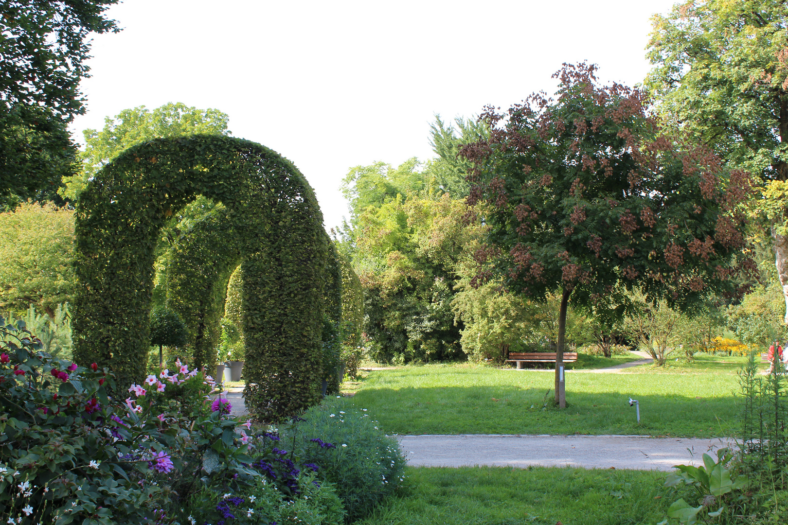 Sommerende-Herbstanfang Schaugärten München