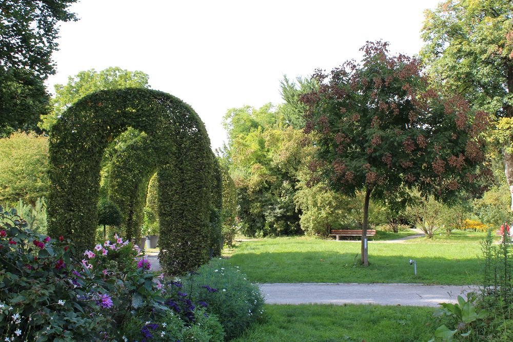 Sommerende-Herbstanfang Schaugärten München