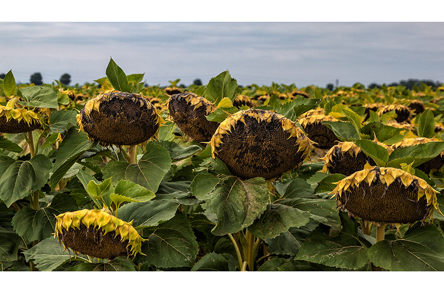 Sommerende in Sicht