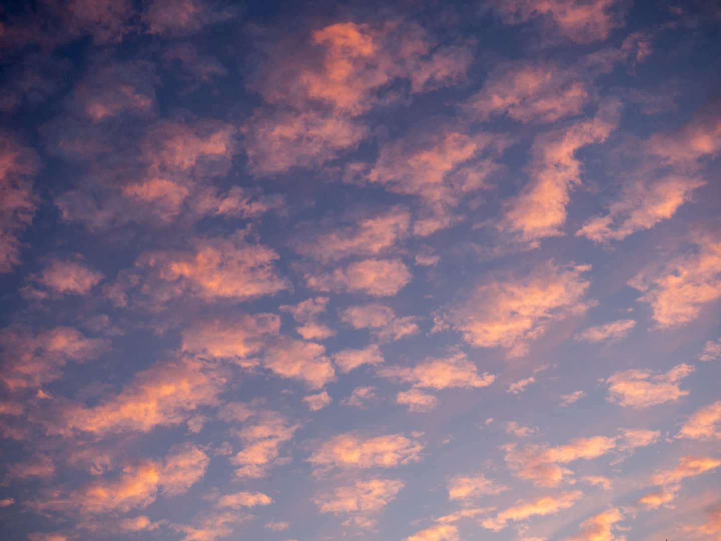 sommerendehimmel in rosablau