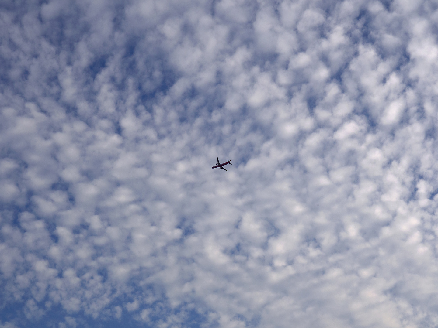 sommerendehimmel in weißblau