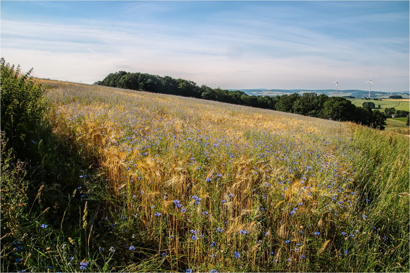 Sommererinnerungen: Blaue Landschaft