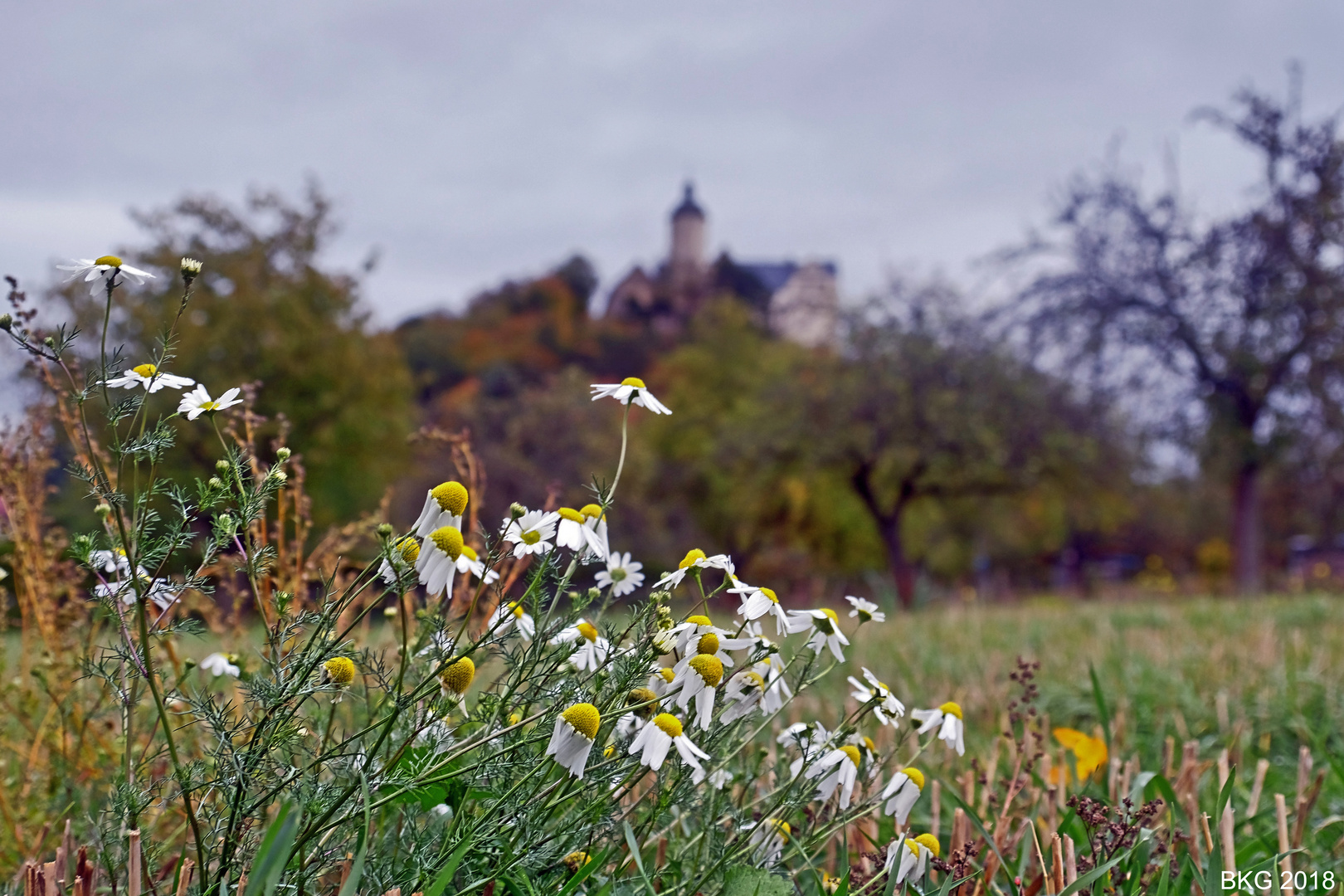 "Sommerestanten" an der Burg Ranis 