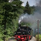 Sommerfahrt auf der Preßnitztalbahn