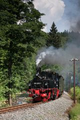 Sommerfahrt auf der Preßnitztalbahn
