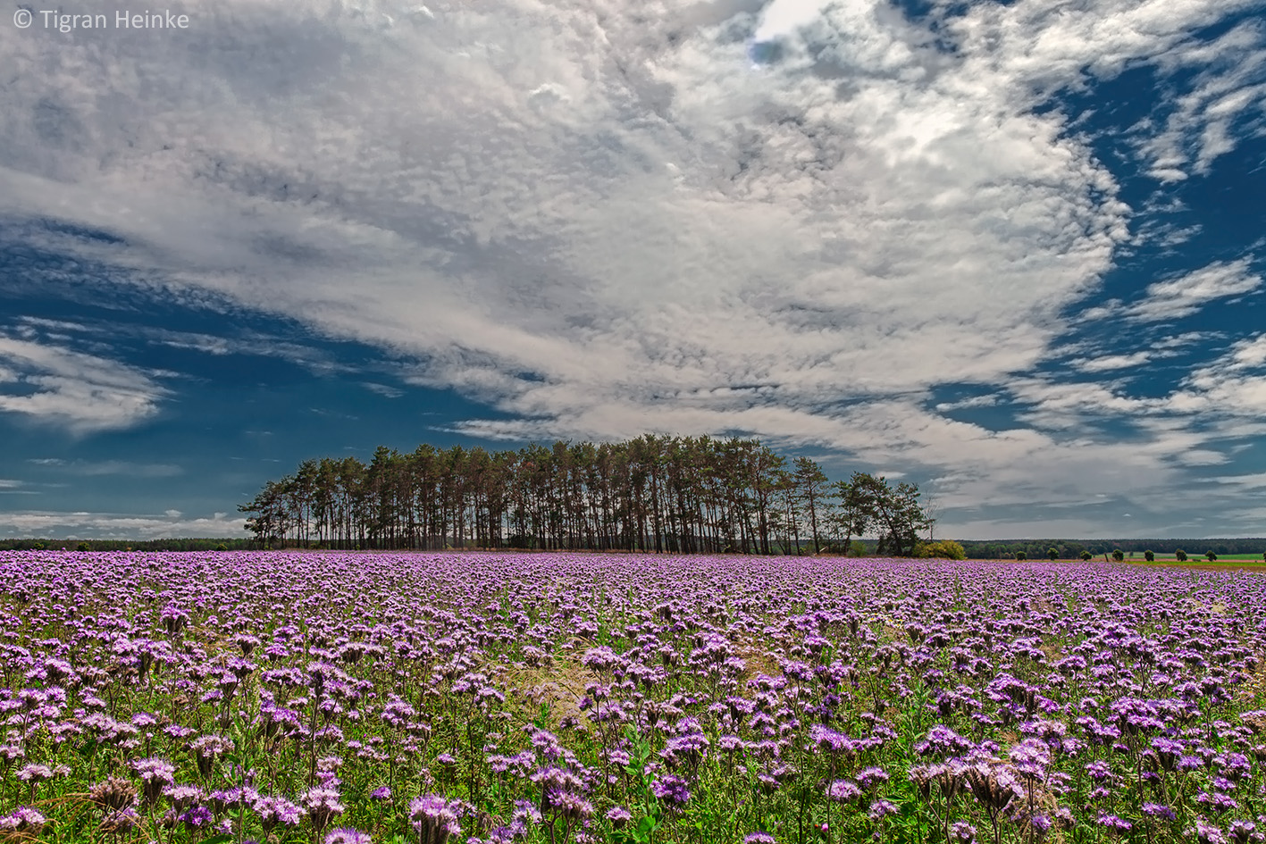 Sommerfarben