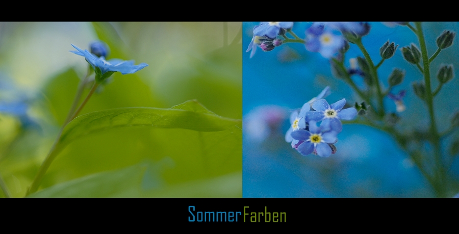 SommerFarben