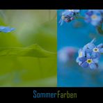 SommerFarben