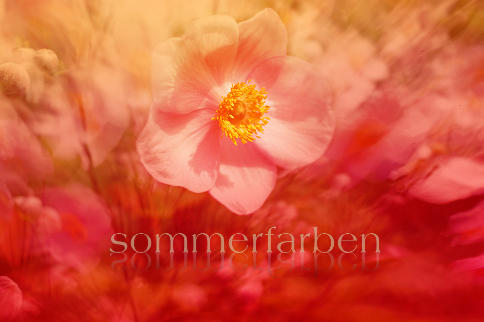 sommerfarben