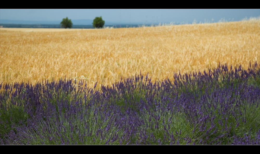 - Sommerfarben -