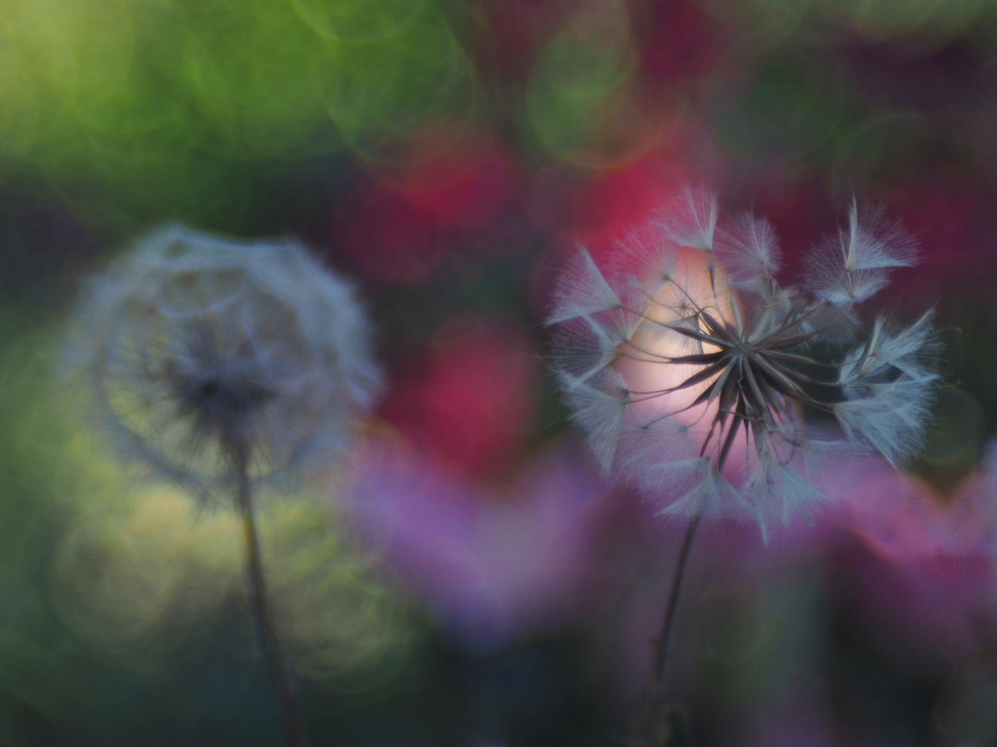 Sommer.Farben.