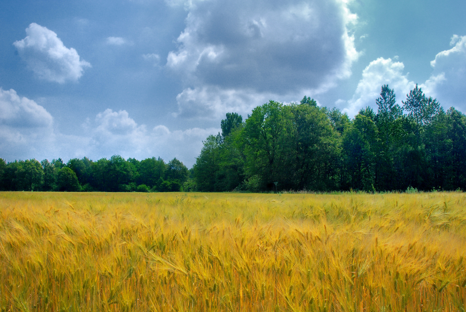 Sommerfarben