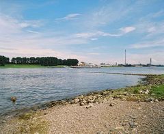 Sommerfarben am Rhein