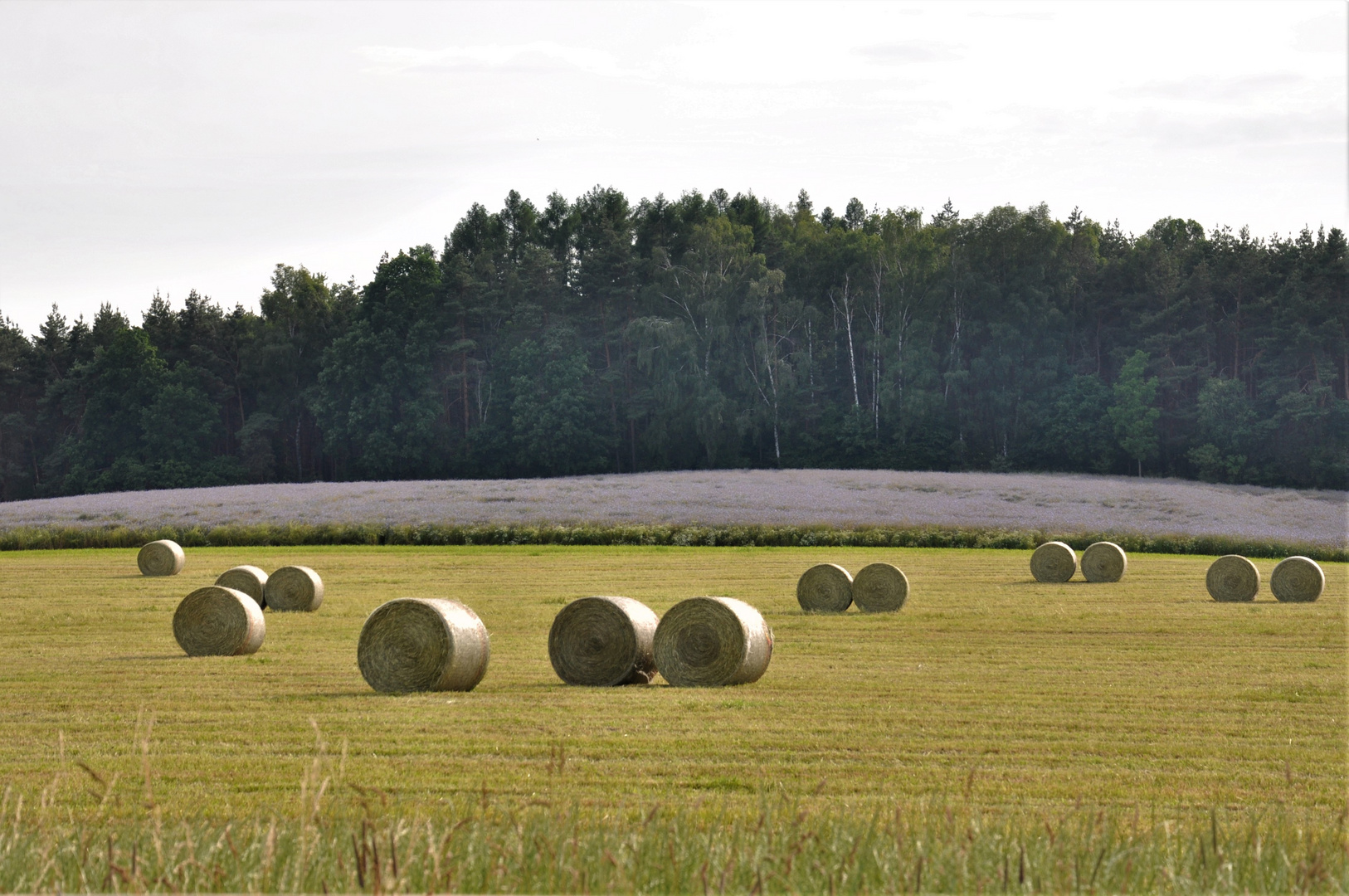 Sommerfarben