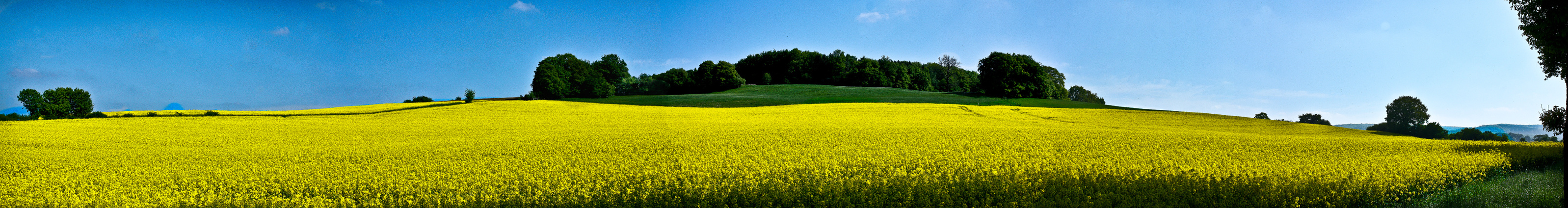 *Sommerfarben*