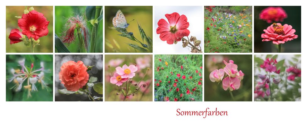 Sommerfarben