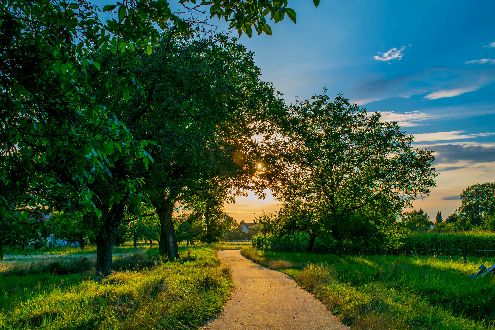 Sommerfarben