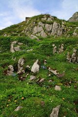 Sommerfarben in Alpen