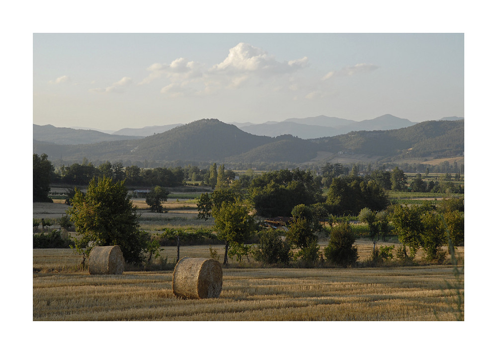 Sommerfarben in der Nähe von Anghiari...Arezzo